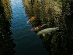 -苍山世界地质公园·石门关大峡谷