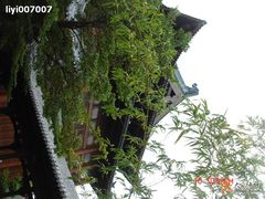 -三亚亚龙湾雅高美爵酒店