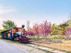 -永定河休闲森林公园