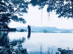 -大埔公路-马料水段香港中文大学(公交站)