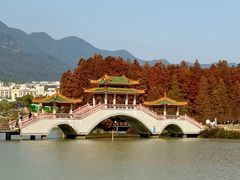 -星湖旅游景区七星岩