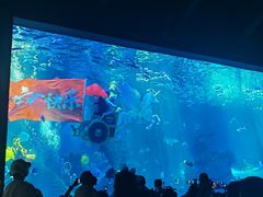 -波塞冬海底世界