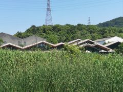 -西湖风景区-江洋畈生态公园