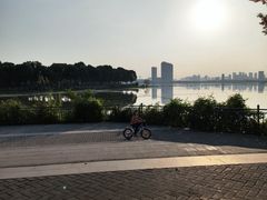 -金银湖国家城市湿地公园