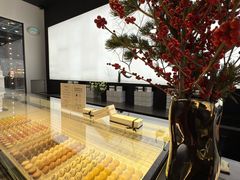 -BLACKSWAN黑天鹅(环球店)
