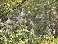 -天津盘山风景名胜区