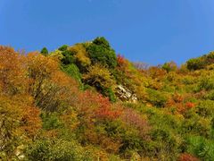 -少华山国家森林公园
