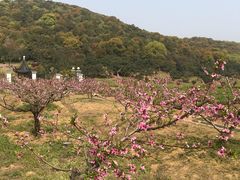 -龙寺生态园