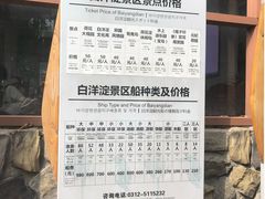 -白洋淀景区