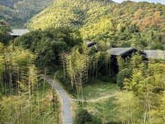 -大唐贡茶院