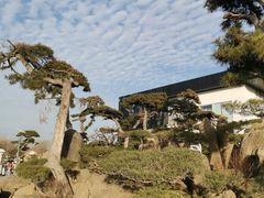 -罗红摄影艺术馆