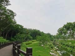 -羊山湖公园
