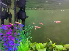 -台州海洋世界