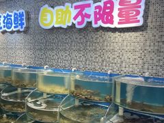 -仙螺岛海鲜自助餐厅(总店)
