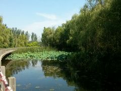 android_upload_pic-沈阳鸟岛
