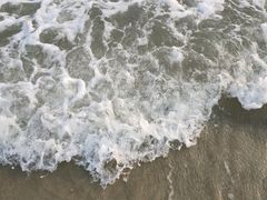 -北海金海湾红树林生态旅游区