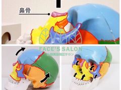 -FACE·日本小颜美容整骨(福田店)