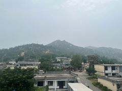 -李家庄村