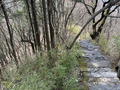 -天燕原始生态旅游区-天门垭景区