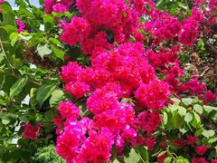 -新竹里馆·花园餐厅(兴苑路店)