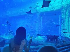 -亚特兰蒂斯•OSSIANO奥西亚诺海底餐厅