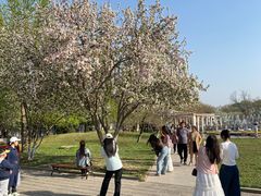 -石家庄市植物园