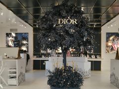 -Dior迪奥(上海世茂广场店)