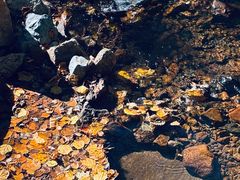 -五女峰国家森林公园