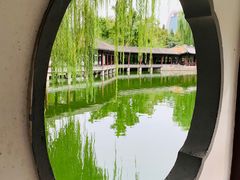 -团结湖公园