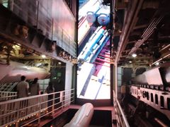 -泰达航母主题公园