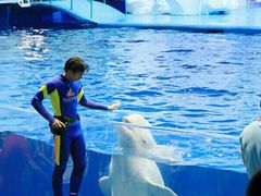 -福州罗源湾海洋世界旅游区