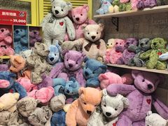 -济州岛泰迪熊博物馆