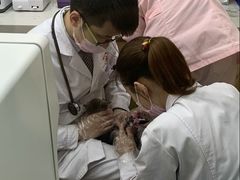 -全心全意连锁动物医院(石景山店)