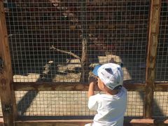 -百里峡七彩艺术小镇