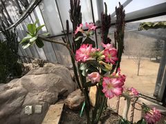 -北京植物园-展览温室