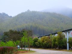 -广州市石门国家森林公园
