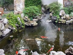 -鲤院·新中式美学·庭院餐厅(夫子庙店)