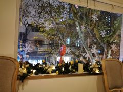 -蝶舍·MAISON PAPILLON