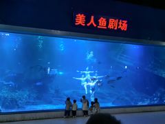 -福州罗源湾海洋世界旅游区