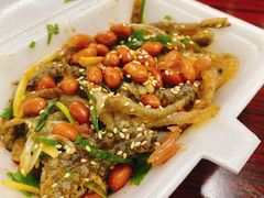 -陈添記·祖傳爽鱼皮·西关老字号(广州首店)