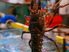 -三亚火车头万人海鲜广场