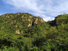 -大岭沟猕猴桃谷风景区