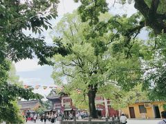 -龙华寺