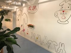 -瑞鹏宠物医院·眼科·皮肤·中兽医(大悦城分院)