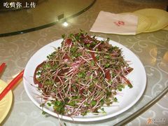 香橙萝卜苗-清雅轩·清真菜·传统菜•融合菜(滑翔店)