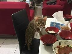 -国庆烧麦馆