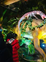 -恐龙探索乐园(磁器口店)