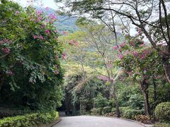 -小南山公园