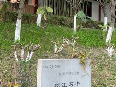 -望江楼公园