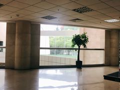 -上海财经大学(国定路校区)